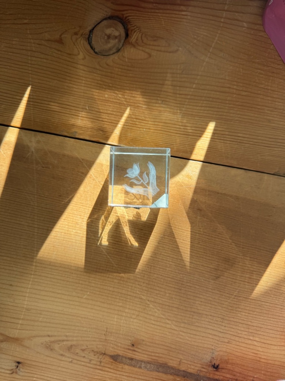 Etched Glass Cube Paperweight with Floral Motif